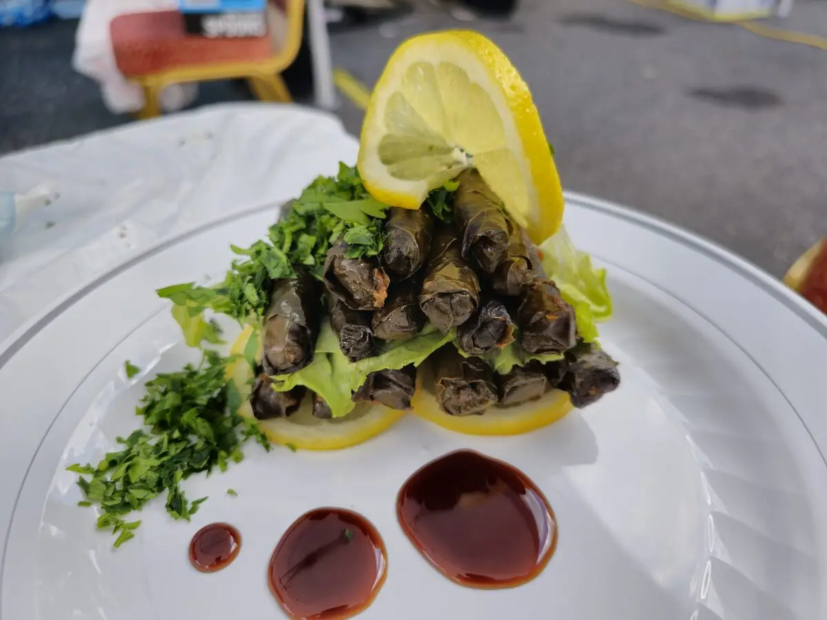 Yaprak Sarma (Turkish Dolma)